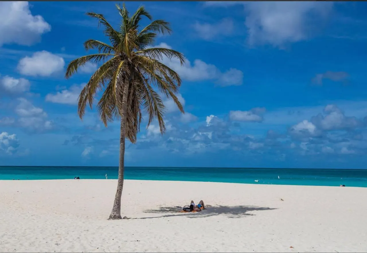 Ocean View Condo Overlooking The Caribbean Sea location